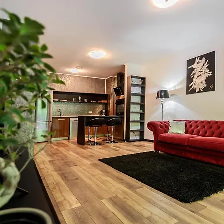 Tampa Gardens - Adults Only * Брашов