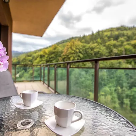 Tampa Gardens - Adults Only *